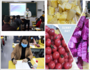 停课不停研，备战新学年